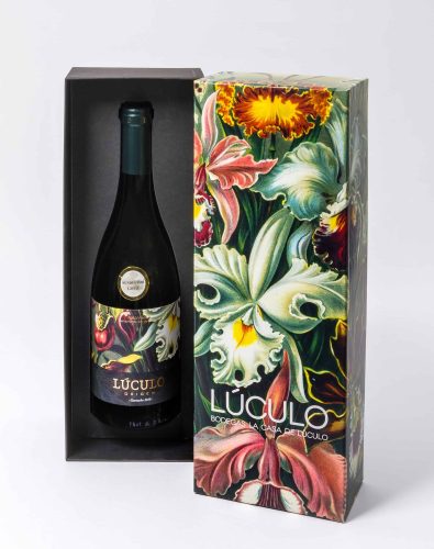 ESTOIG VI LUCULO_0065